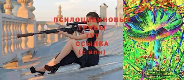 сатива Аркадак