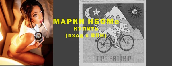 сатива Аркадак