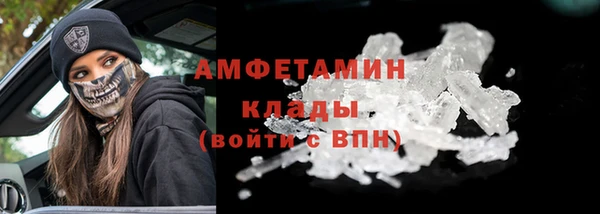 сатива Аркадак
