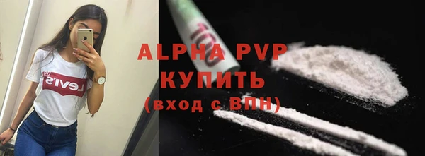 сатива Аркадак