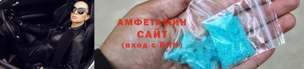 сатива Аркадак