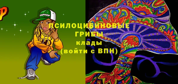 сатива Аркадак