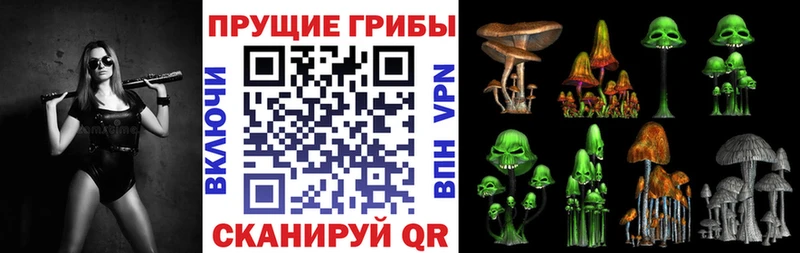 Галлюциногенные грибы Psilocybe  Купить  Медынь 